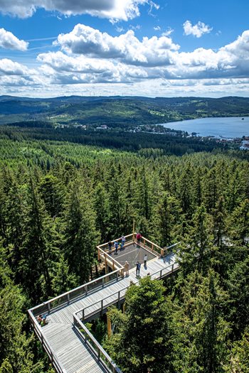 Uitzicht vanaf het boomkroonpad in Lipno