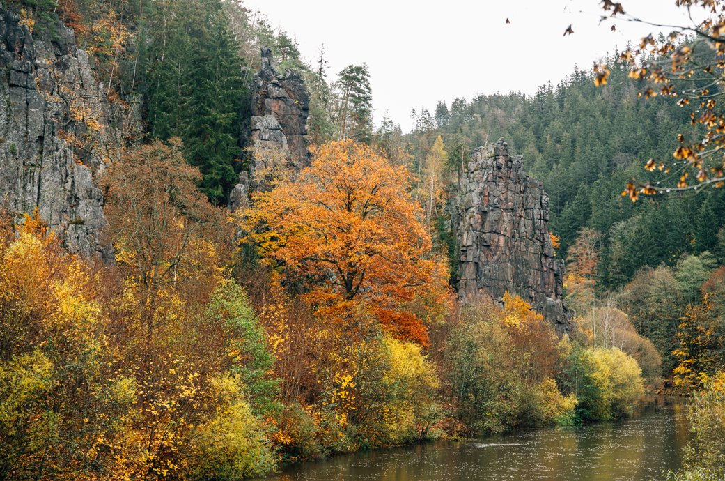 Natuur langs de Eger in West-Bohemen