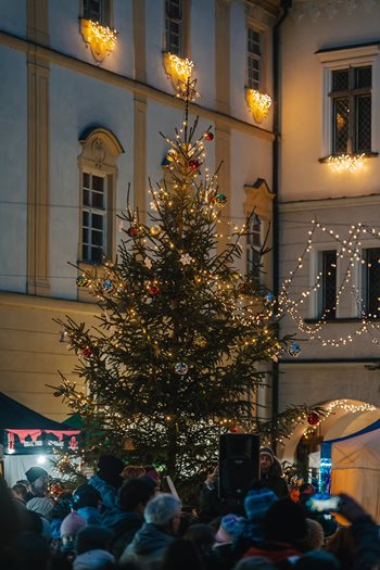 Kerstmarkt kasteel Tsjechië