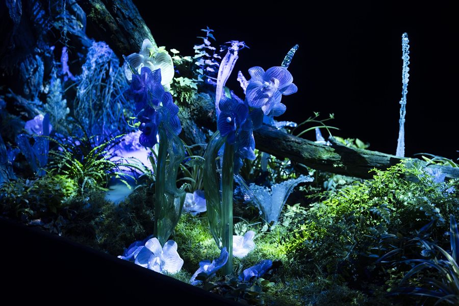 Crystal Garden