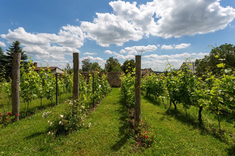Vinárstvo Gletschberg Vinárstvo Gletschberg