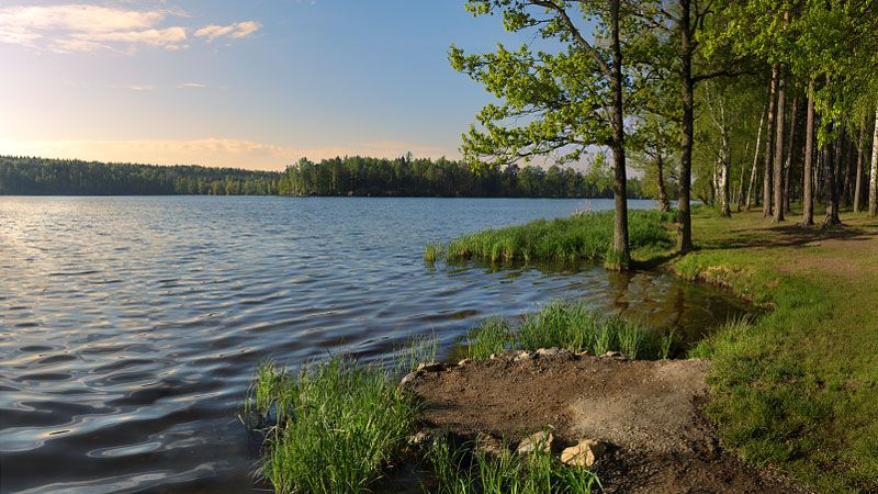 Trebon vijvers in de omgeving
