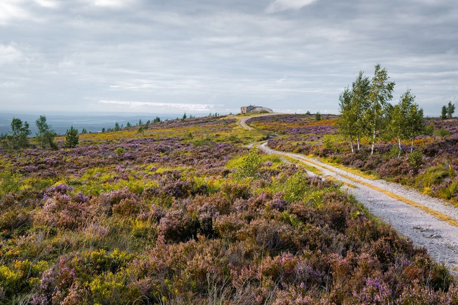 Natuurgebied Brdy ©Turistická oblast Brdy a Podbrdsko - z. s. Brdy ongerepte natuur
