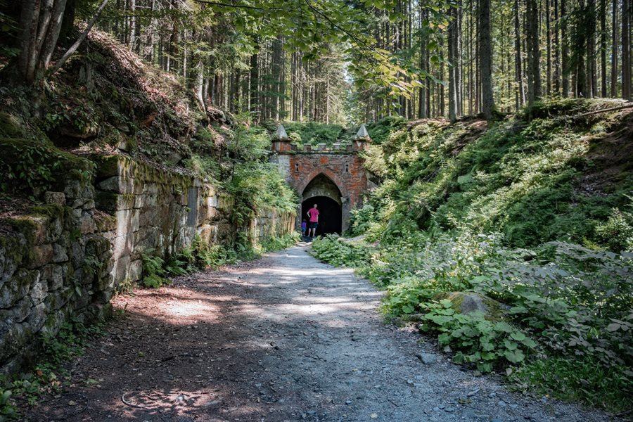 Het mooiste stukje van het Schwarzenbergkanaal in Boheemse Woud ©Hana Kabashi Schwarzenbergkanaal in Boheemse Woud