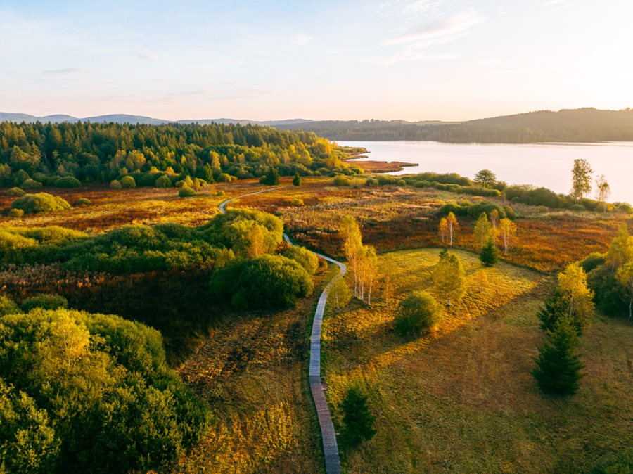 Wandelroute langs de Olsina vijver ©Czech Vibes Olsina vijver met wandelroute
