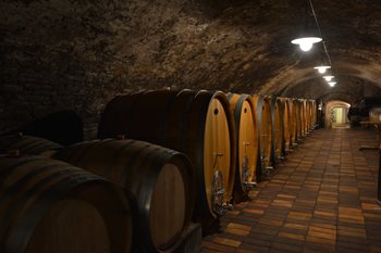 Mělník is trots op haar wijn ©Central Bohemia Tourist Board Mělník wijnfestival wordt jaarlijks gevierd