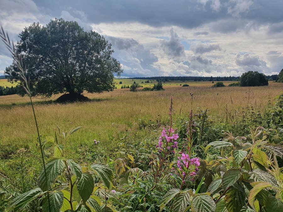 landschap Ertsgebergte