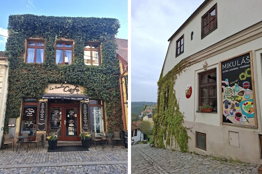 Leuke restaurants om te eten in Znojmo