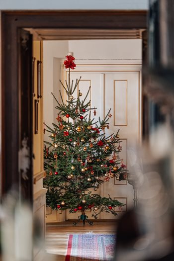 Kerstmarkt kasteel Zuid-Bohemen kerstboom