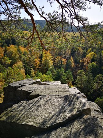 Natuur in Zuid-Bohemen in Tsjechië