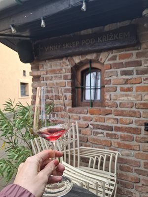 Wijnproeven in Zuid-Moravië in Lednice