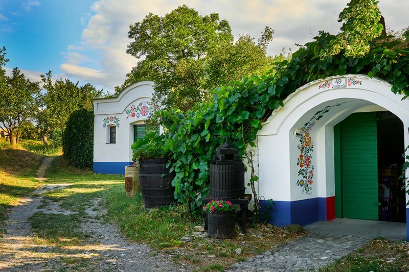Petrov - Plže