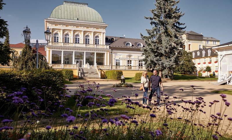 Františkovy Lázně, Destinační a informační agentura - Františkovy Lázně - z. ú.