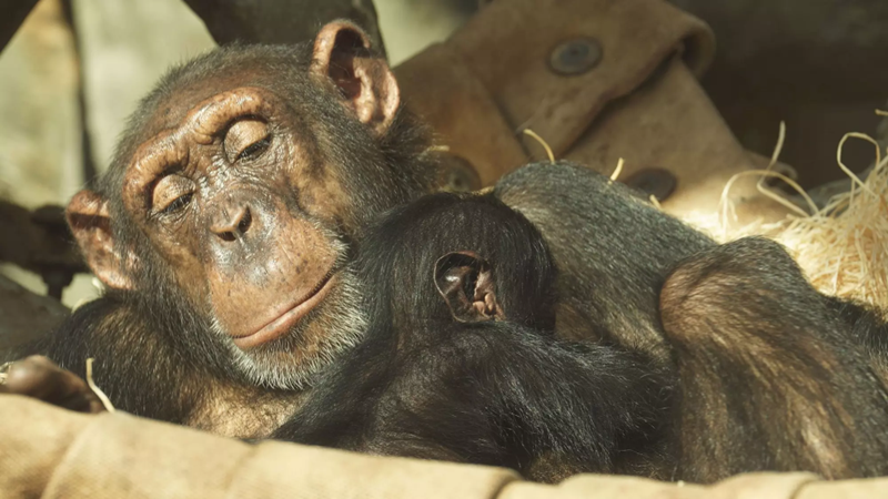 Ostrava ZOO