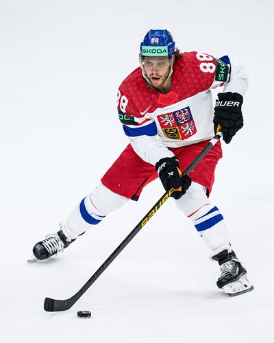 Vitalii-Vitleo-shutterstock