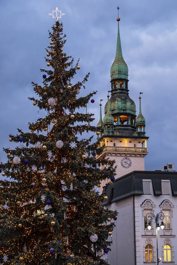 Kerstboom Brno kerstmarkt