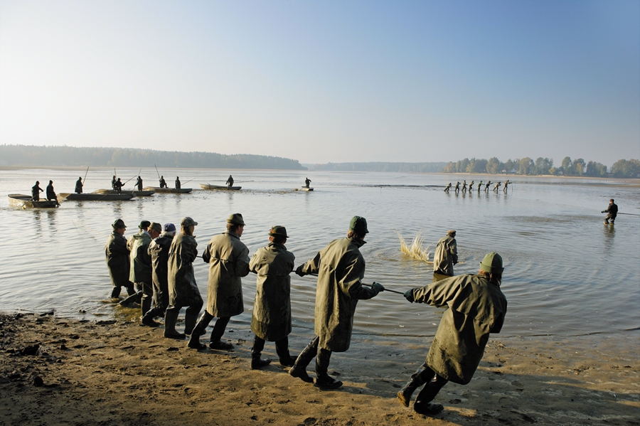De karpers worden in november uit de vijvers gehaald ©Libor Sváček Visvijvers in Trebon in Zuid-Bohemen