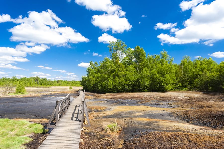 De wandeling door Soos gaat over vlonderpaden en op sommige stukken kan het behoorlijk stinken ©Shutterstock Wandelen in het natuurgebied Soos in West-Bohemen