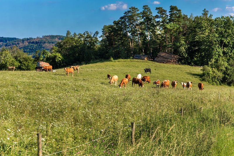 © Marsan-shutterstock © Marsan-shutterstock