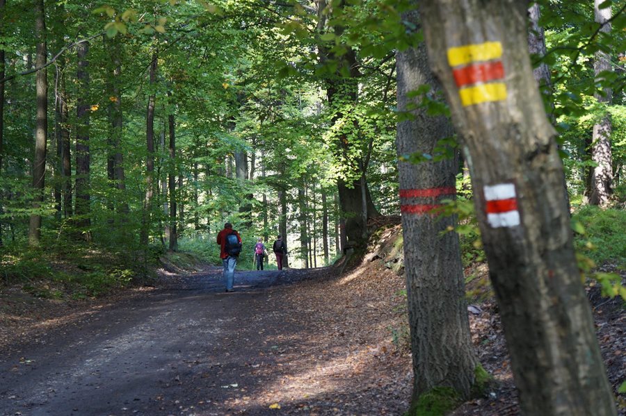 De natuur van Boheems Paradijs in Tsjechië