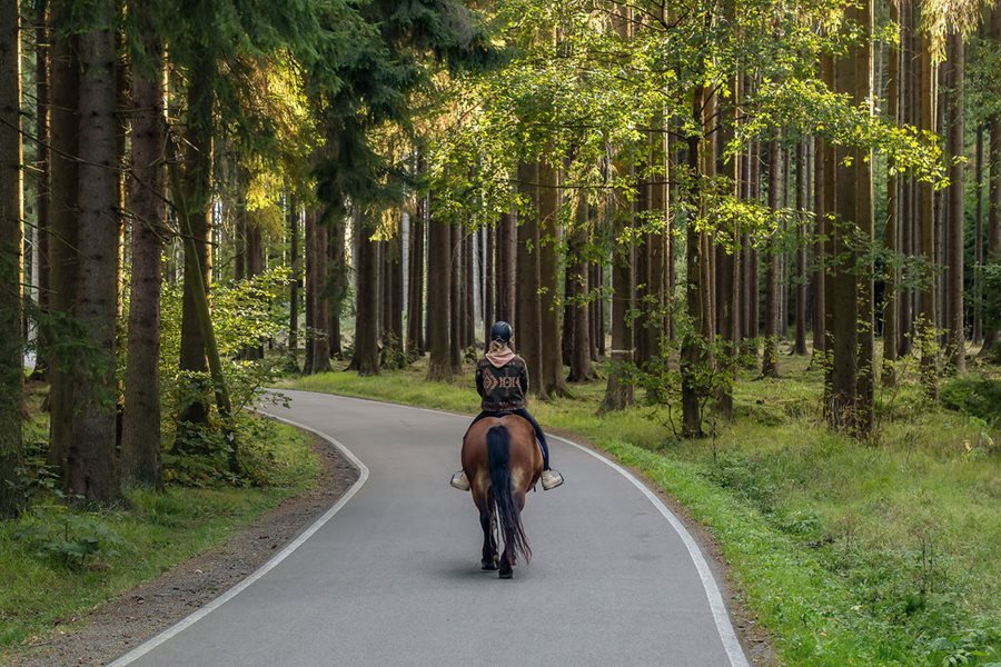 ©Claudia Vader Paardrijden in Vysocina