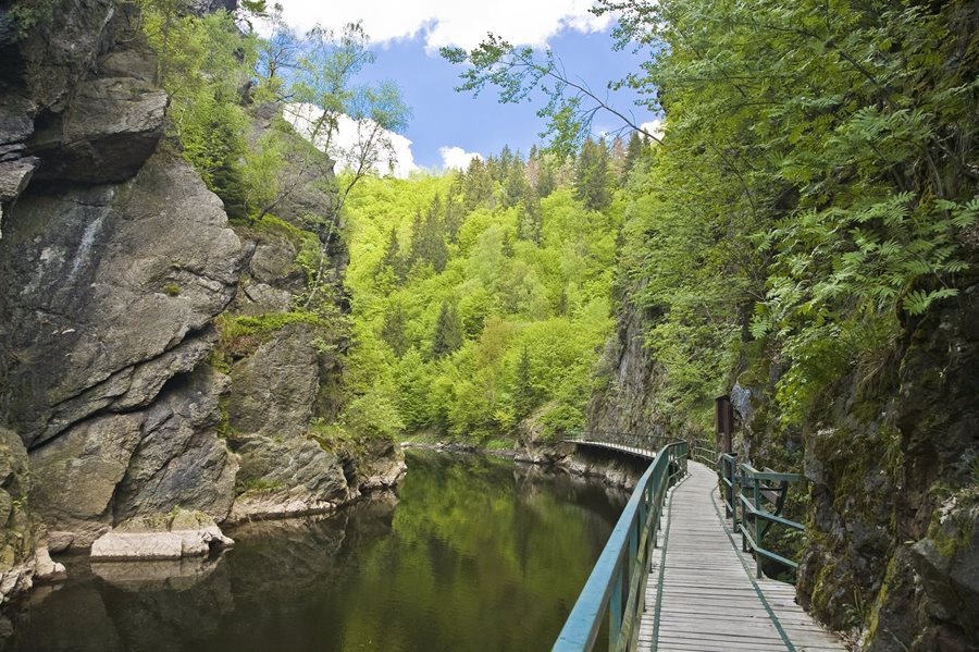 Riegrovka stezka Boheems Paradijs