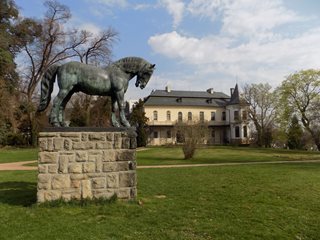 Paarden in Tsjechië Kladruby