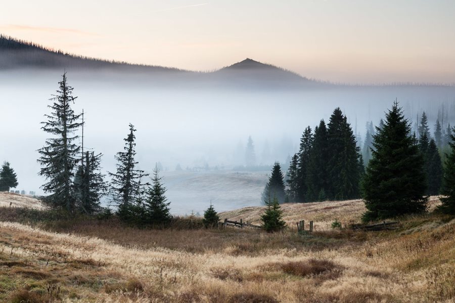 Veennatuurreservaat Černohorské ©Jan Horský Cerna hora in het Reuzengebergte