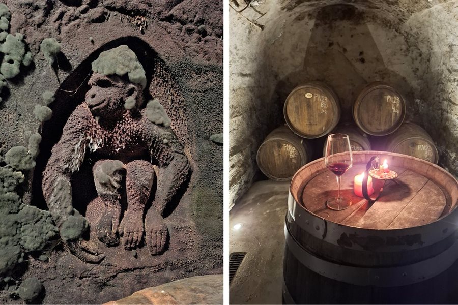 Bezoek aan de historische Blue Cellars wijnkelder van Vinařství Špalek met unieke blauwe schimmel en constante keldertemperatuur. Historische wijnkelder van Vinařství Špalek in Zuid-Moravië met blauwe schimmel op de muren, onderdeel van de Blue Cellars bij Znojmo
