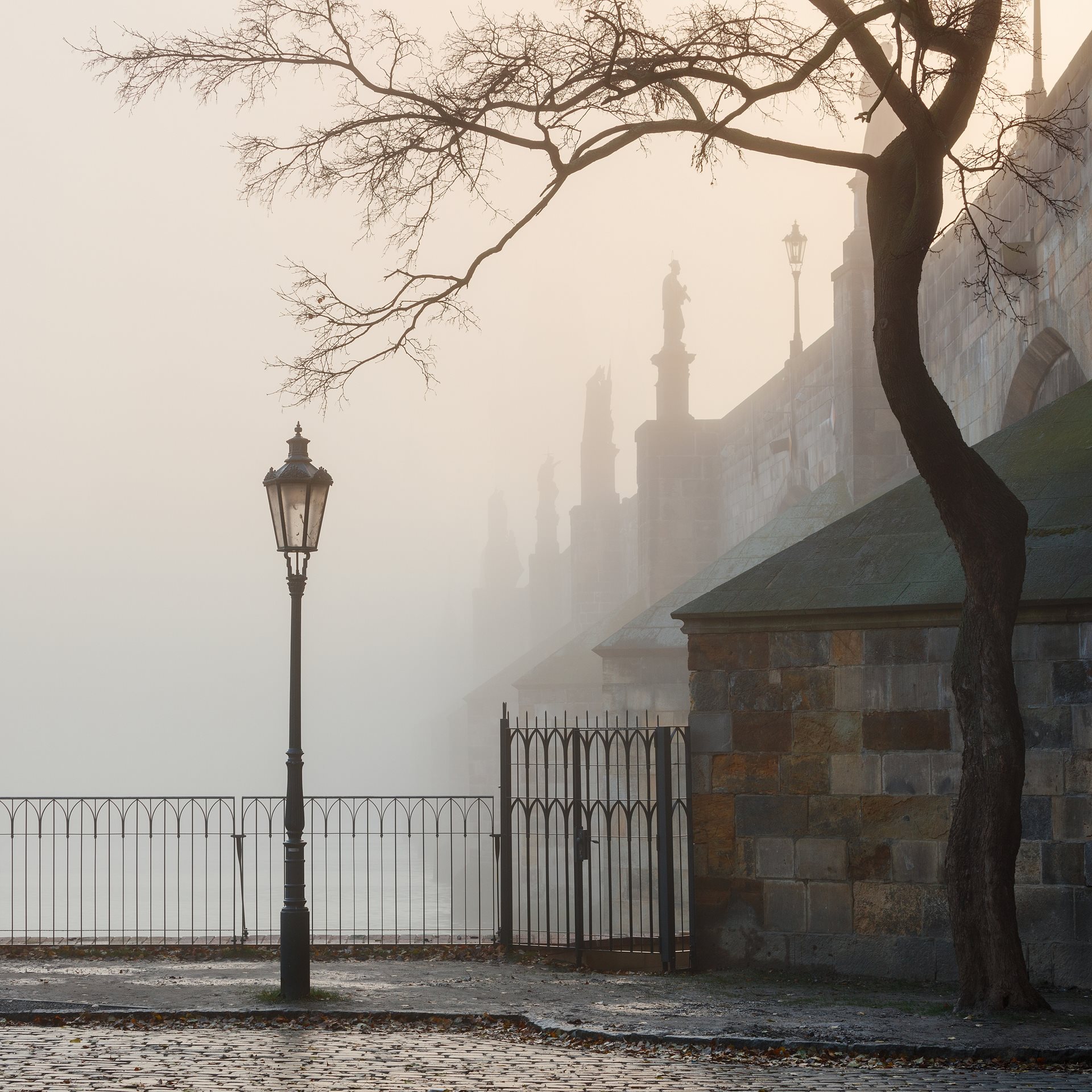 Ein Bild, das draußen, Winter, Nebel, Baum enthält.KI-generierte Inhalte können fehlerhaft sein.