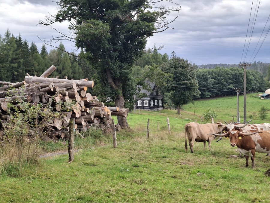 De omgeving van Krásná Lípa