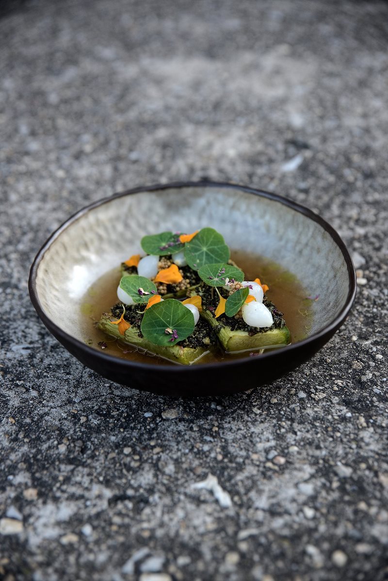 Sůl a řepa Sůl a řepa