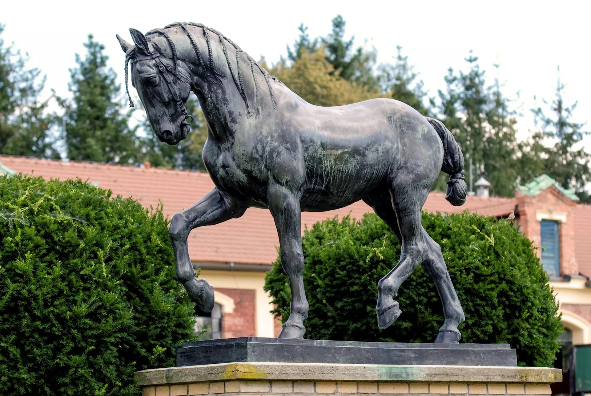 paard pisek stoeterij