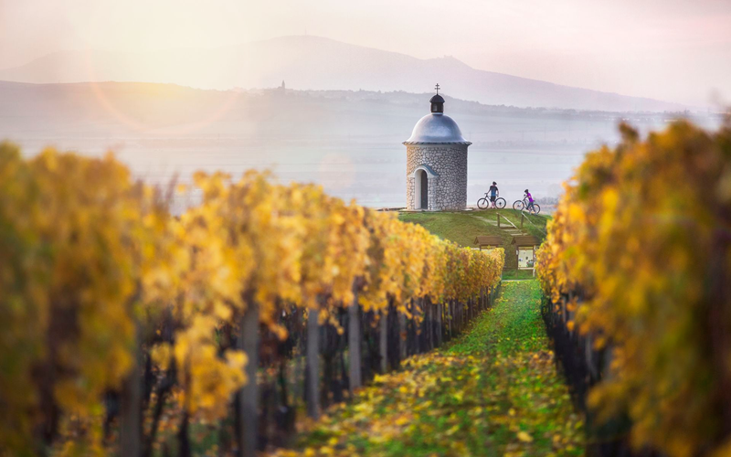 Chapel on Hradištěk in Velké Bílovice (South Moravia), David Marvan Chapel on Hradištěk in Velké Bílovice (South Moravia)