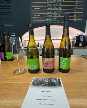 Wijnproeverij bij Vinárna Kraus in Mělník